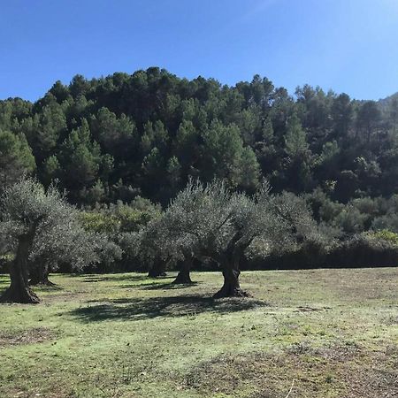 Paraiso Cuantico Eslida Kültér fotó