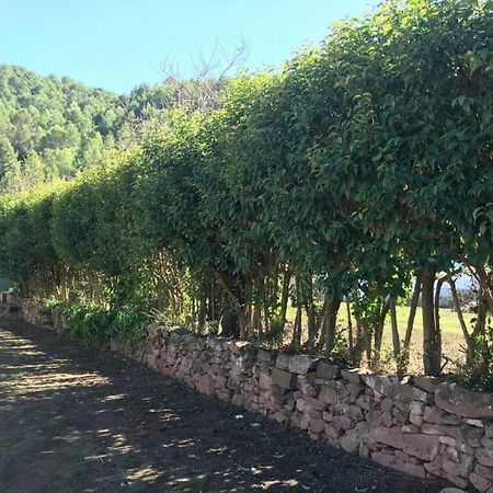 Paraiso Cuantico Eslida Kültér fotó