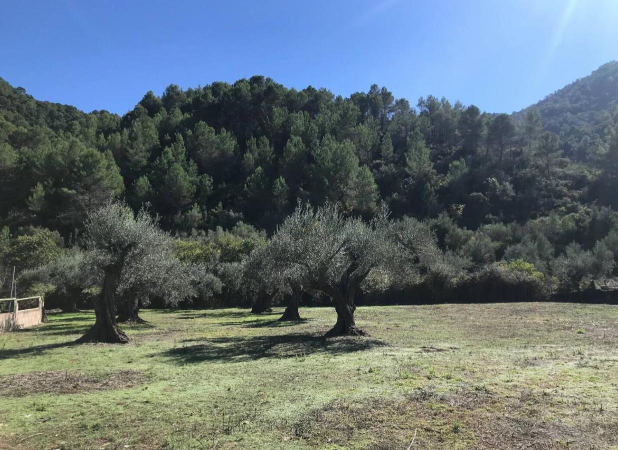Paraiso Cuantico Eslida Kültér fotó