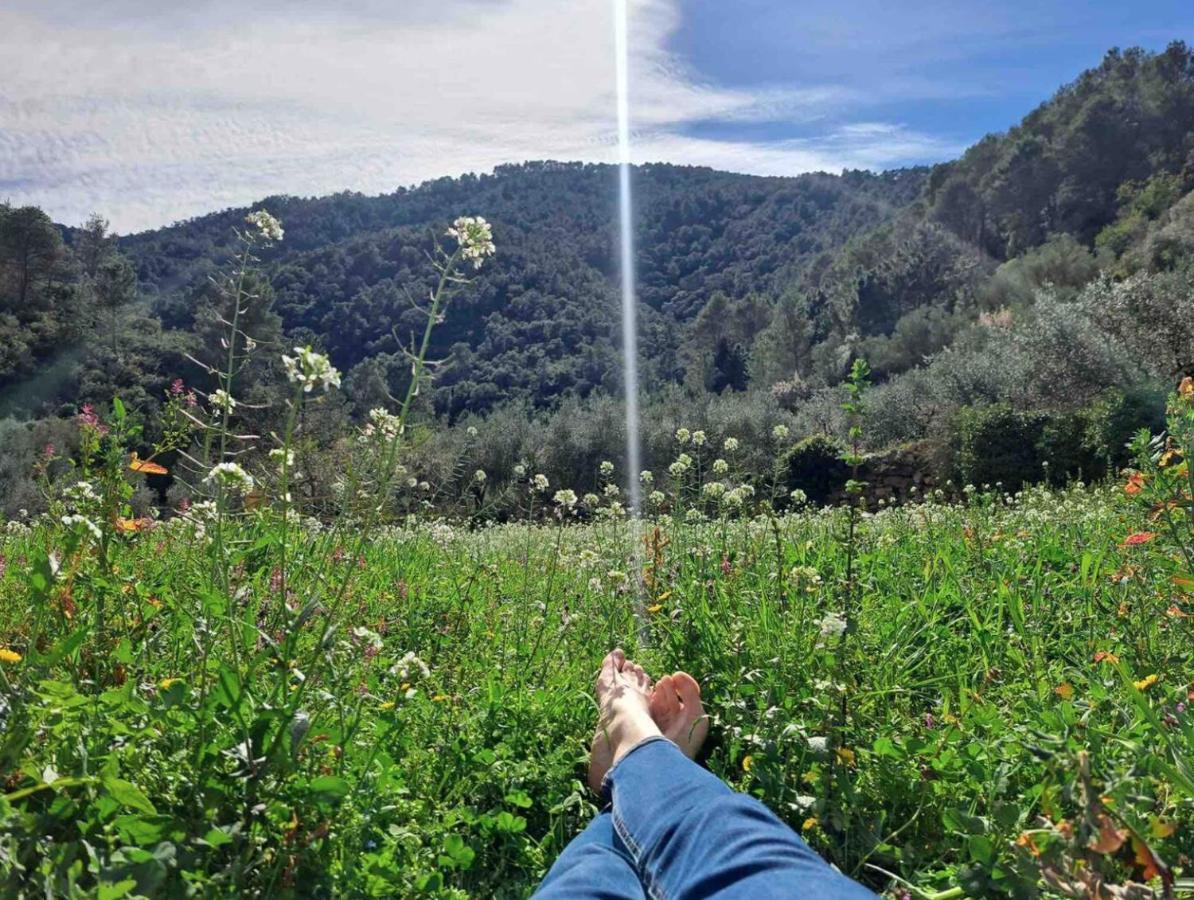 Paraiso Cuantico Eslida Kültér fotó
